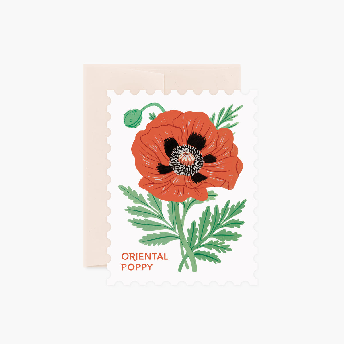 ORIENTAL POPPY DieCut Card Botanica Paper Co