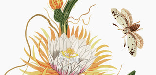 Cactus desert palette - Botanica Paper Co.®