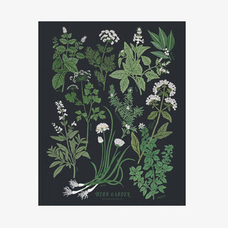 HERB GARDEN | ART PRINT - Botanica Paper Co.®