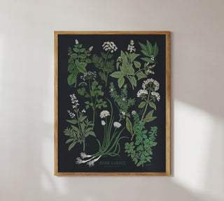 HERB GARDEN | ART PRINT - Botanica Paper Co.®