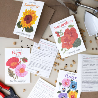 A styled flat-lay of seed packet cards and printed inserts for heirloom seeds, arranged on a light beige surface with scattered seeds and gardening tools. Visible floral designs include Sunflower, Nasturtium, Poppy, and Pansy, with text such as 'Heirloom' and seed names.
