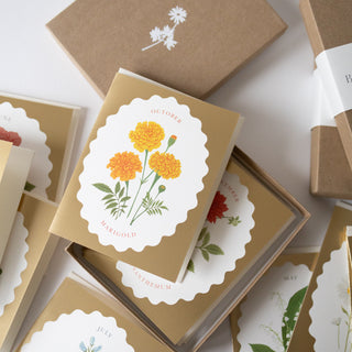 Top view of cards featured in the Birth Month Flowers Boxed Card Set Of 12 illustrated by Oana Befort for Botanica Paper Co.