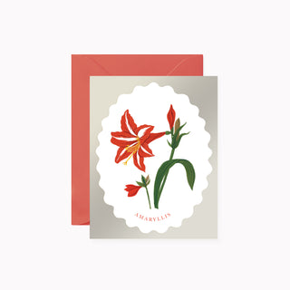 CHRISTMAS AMARYLLIS | greeting card - Botanica Paper Co.®