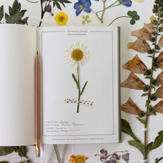 Interior page of Herbarium planner by Oana Befort showing a delicate pressed flower specimen preserved within the monthly botanical keepsake section, demonstrating the planner's dual purpose
