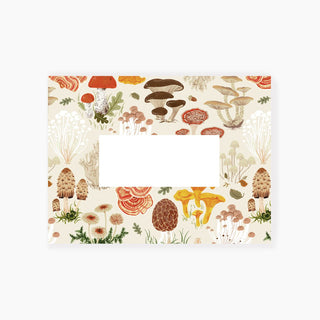 ENVELOPE REFILL | 12 WRITING ENVELOPES - Botanica Paper Co.®