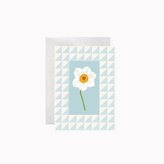 Illustrated NARCISSUS on A1 greeting card