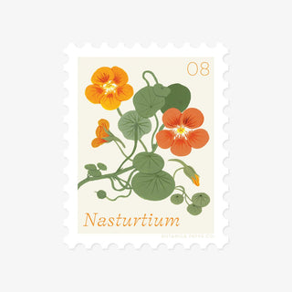 NASTURTIUM, AUGUST FLOWER | STAMP - STYLE VINYL STICKER - Botanica Paper Co.®