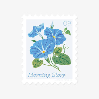 MORNING GLORY, SEPTEMBER FLOWER | STAMP - STYLE VINYL STICKER - Botanica Paper Co.®