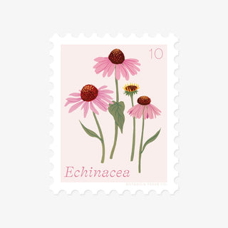 ECHINACEA, OCTOBER FLOWER | STAMP - STYLE VINYL STICKER - Botanica Paper Co.®