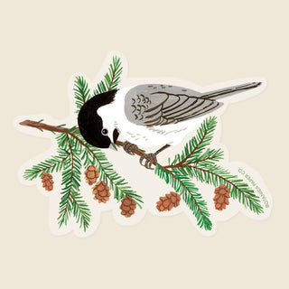 CHICKADEE | CLEAR VINYL STICKER - Botanica Paper Co.®