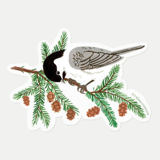 CHICKADEE | CLEAR VINYL STICKER - Botanica Paper Co.®
