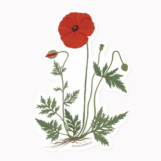 POPPY | CLEAR VINYL STICKER - Botanica Paper Co.®