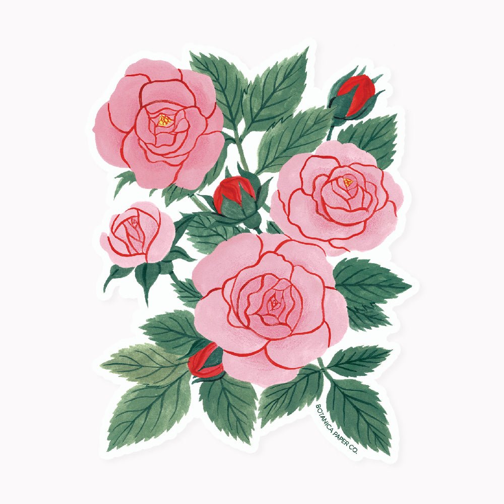 Sticker Rosak ROSA | CLEAR VINYL STICKER – Botanica Paper Co.®