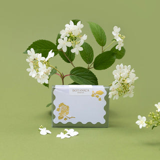 GOLD VIBURNUM | Mini Boxed Cards of 8 - Botanica Paper Co.®