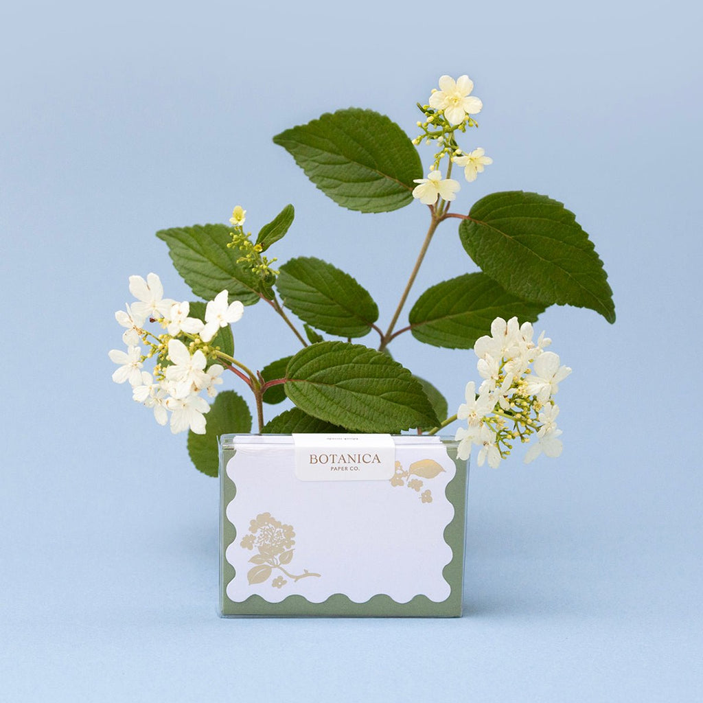 GOLD VIBURNUM | Mini Boxed Cards of 8 - Botanica Paper Co.®