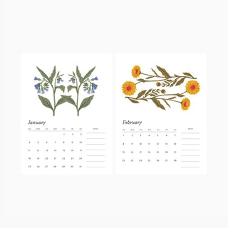 January and February calendar pages with floral illustrations by Oana Befort from the 2026 Botanist desk calendar