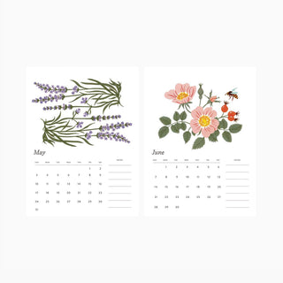 May and June calendar pages with illustrated botanicals by Oana Befort from the 2026 Botanist desk calendar.