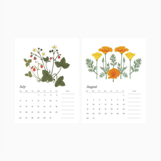 July and August calendar pages with illustrated botanicals by Oana Befort from the 2026 Botanist desk calendar.