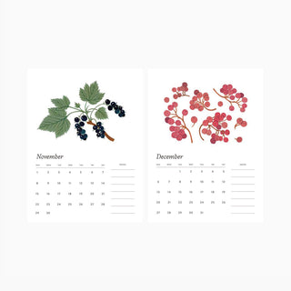 November and December calendar pages with illustrated botanicals by Oana Befort from the 2026 Botanist desk calendar.