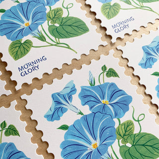 MORNING GLORY | Die - Cut Card - Botanica Paper Co.®