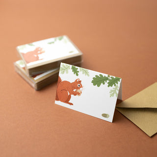 SQUIRREL | Mini Boxed Cards of 8 - Botanica Paper Co.®
